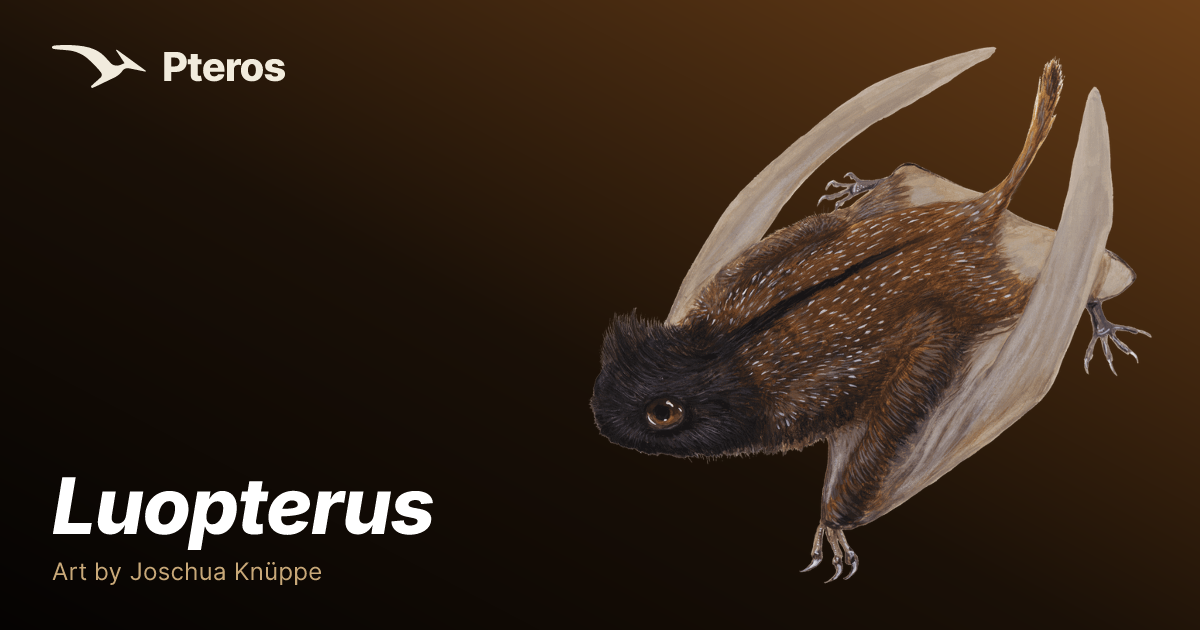 Luopterus — Pteros